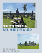 바캐스 투어